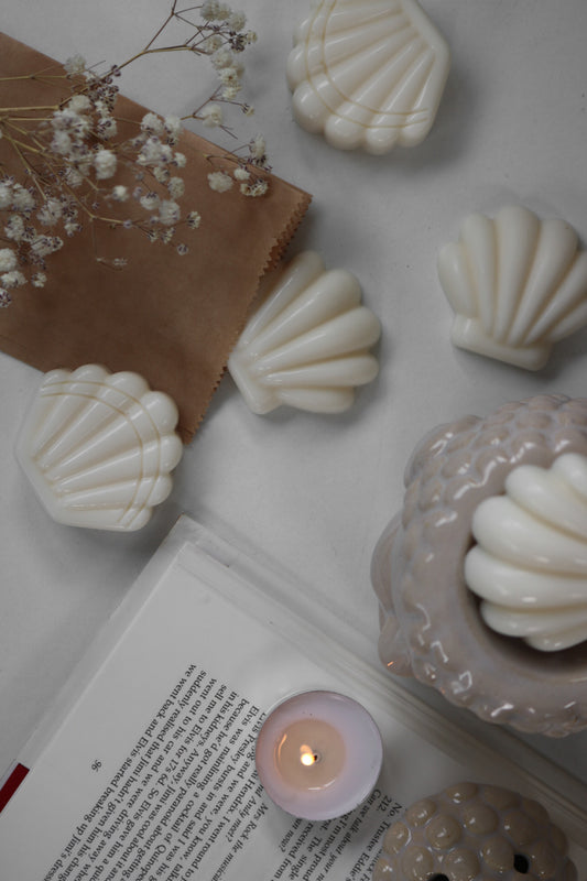 Shell wax melts - Maé Fleur