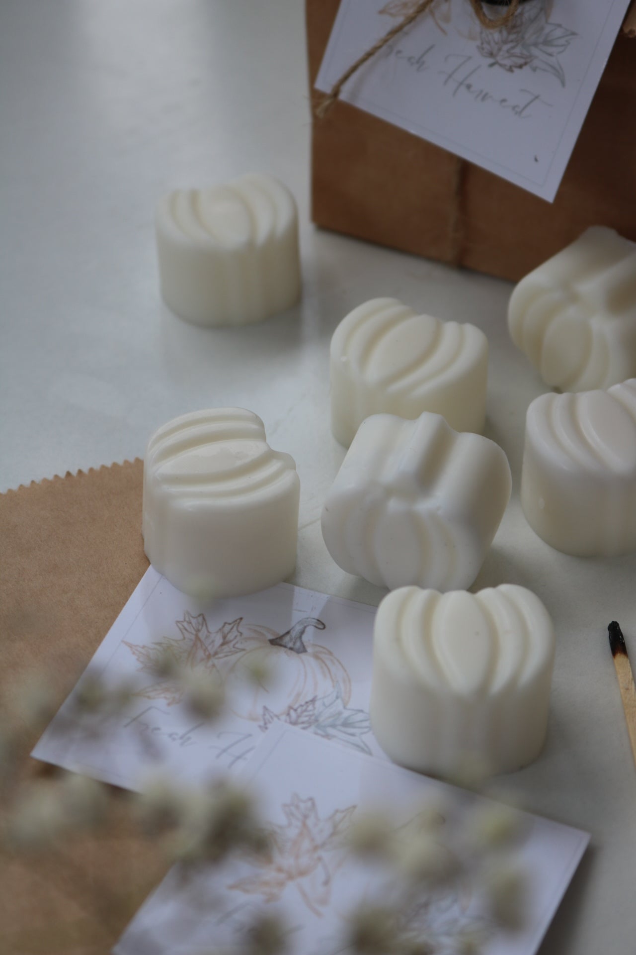 Pumpkin wax melts