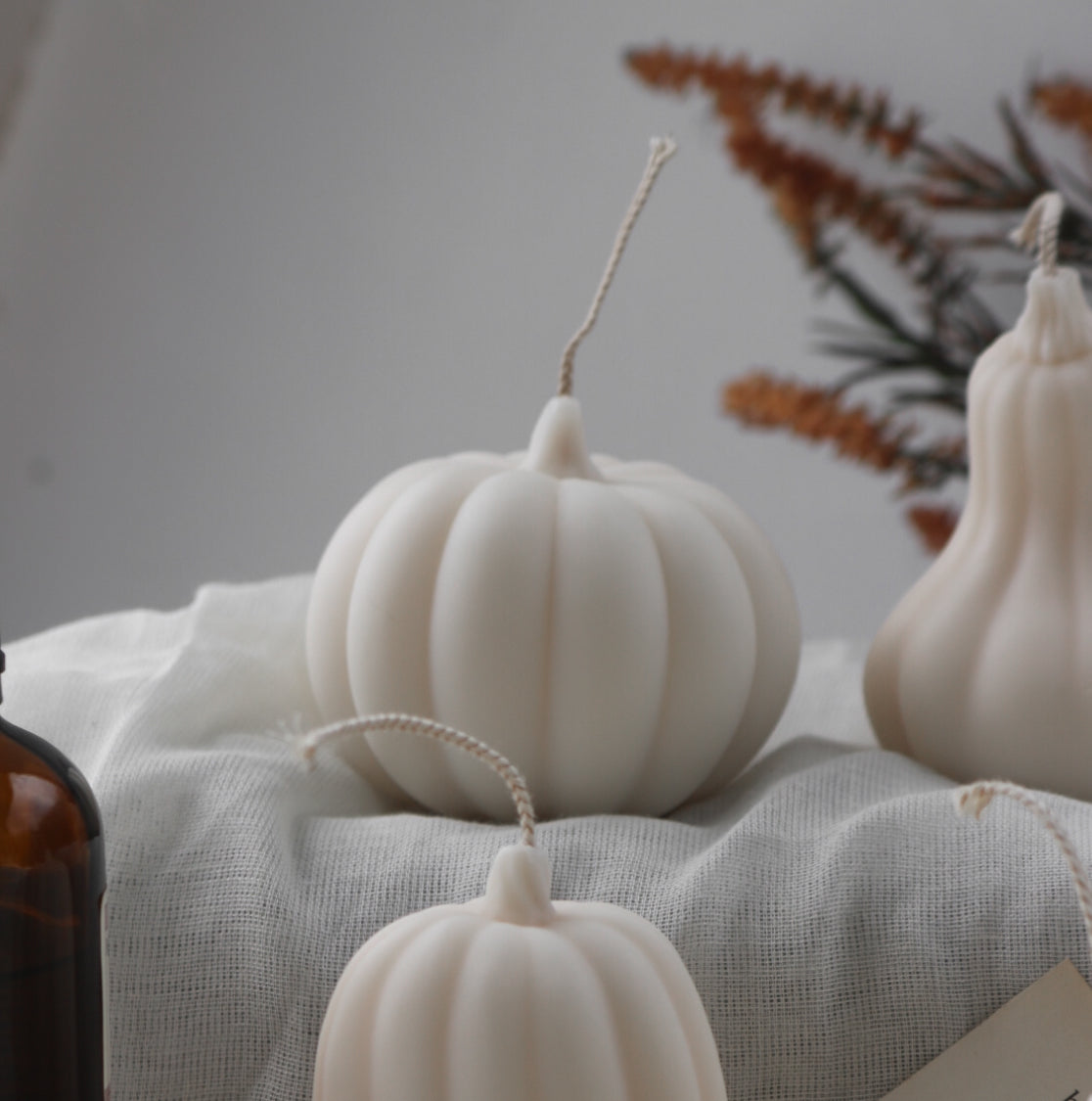 Small round autumnal pumpkin