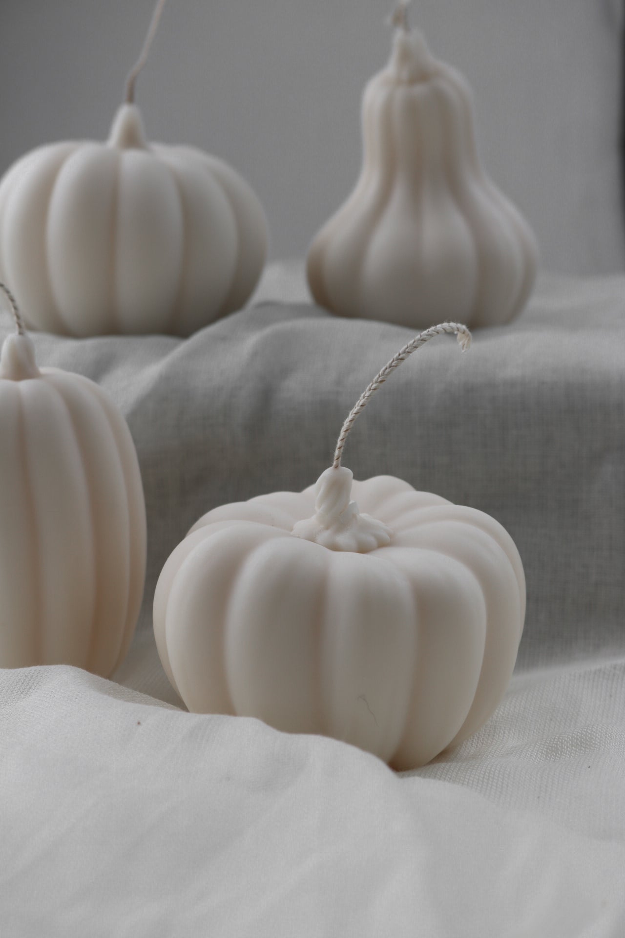 Medium round autumnal pumpkin