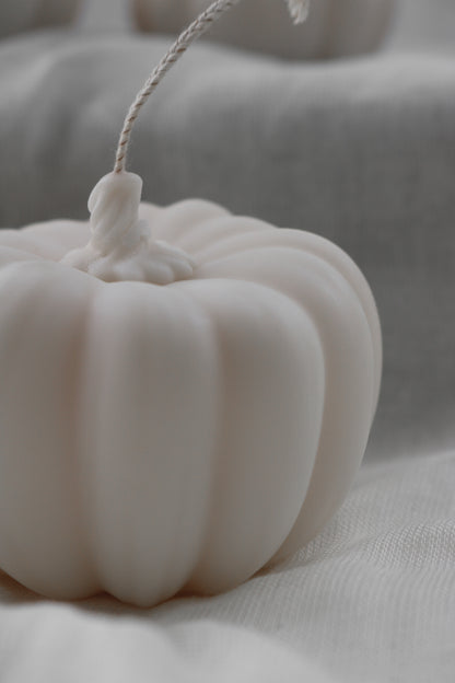 Medium round autumnal pumpkin