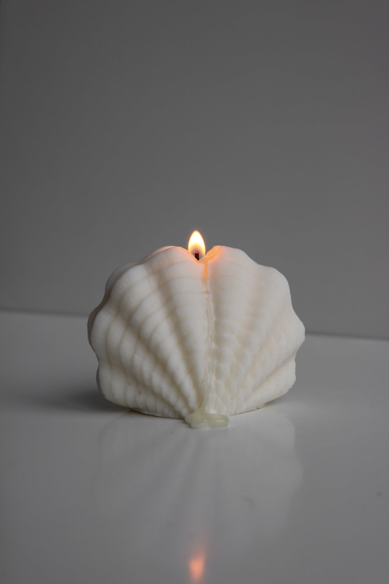 Large decorative shell candle