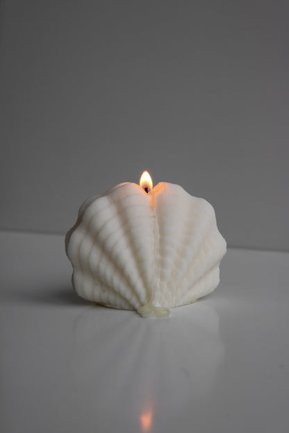 Large decorative shell candle