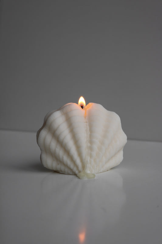 Large decorative shell candle - Maé Fleur